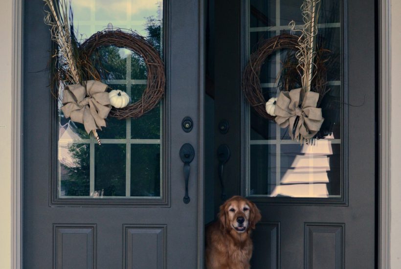 fall wreaths